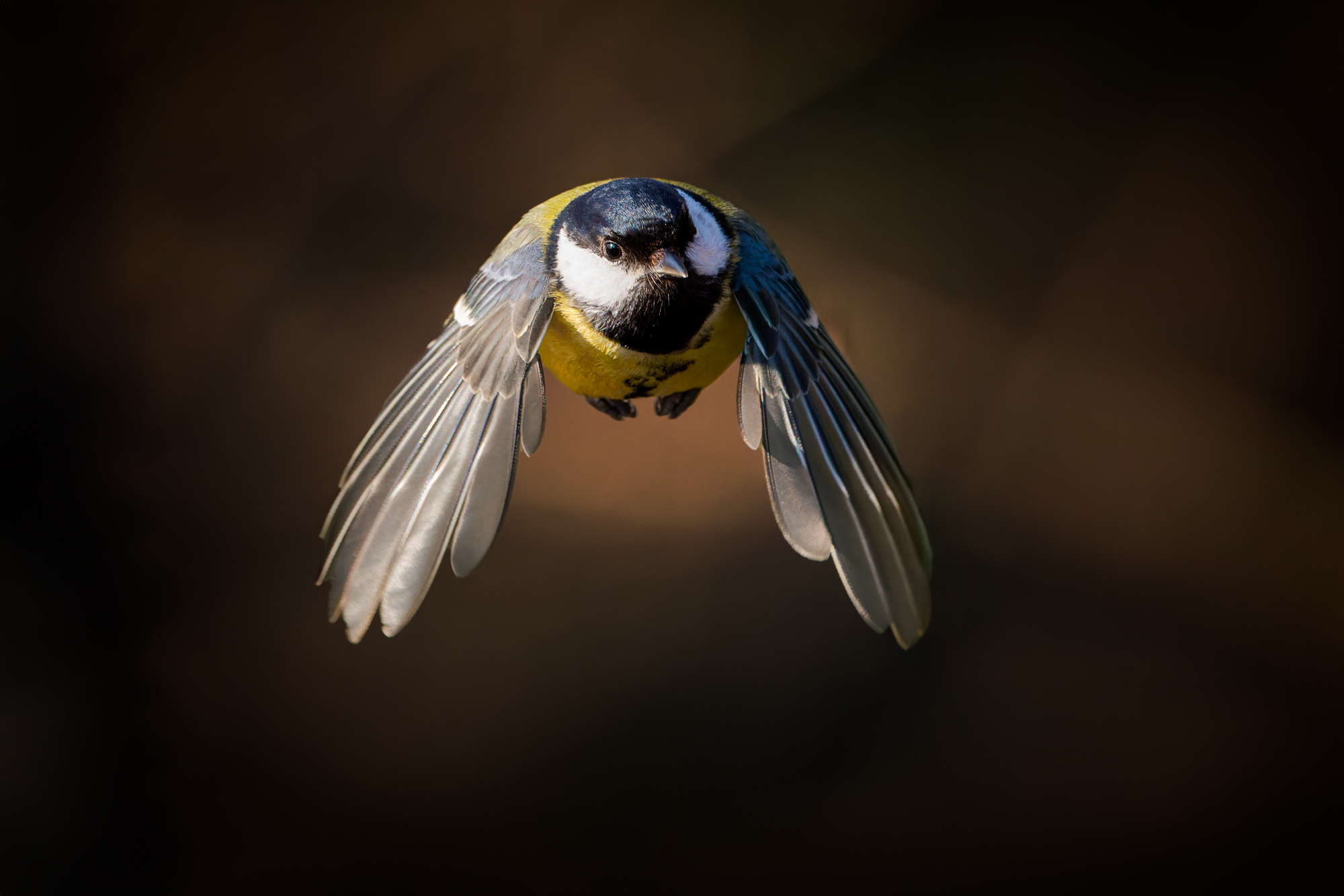  KS 4288 DxO 1 recrop