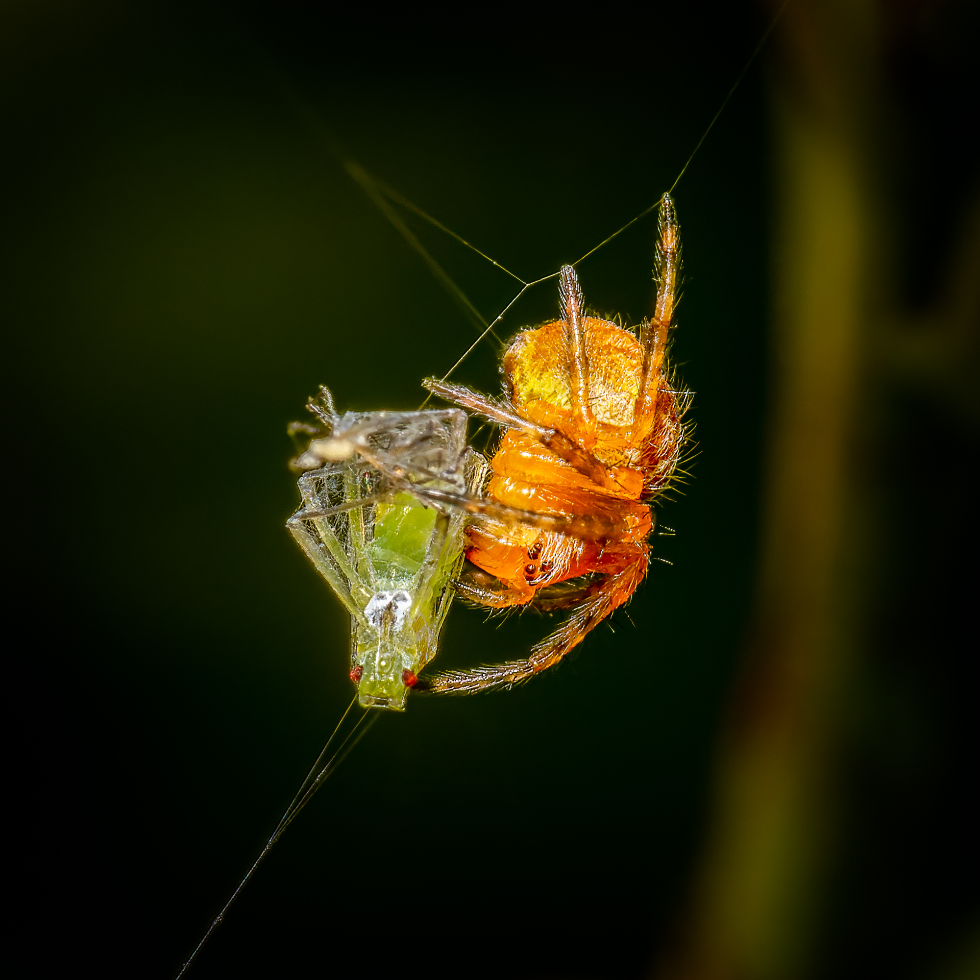  KS22773 DxO Enhanced 1