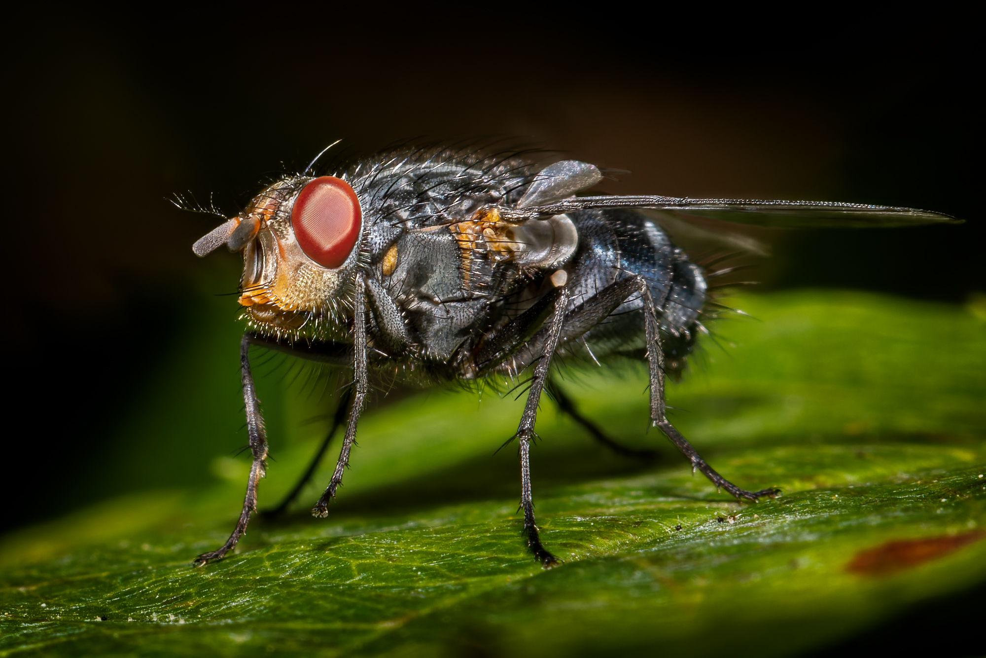  KS22801 DxO Enhanced 1