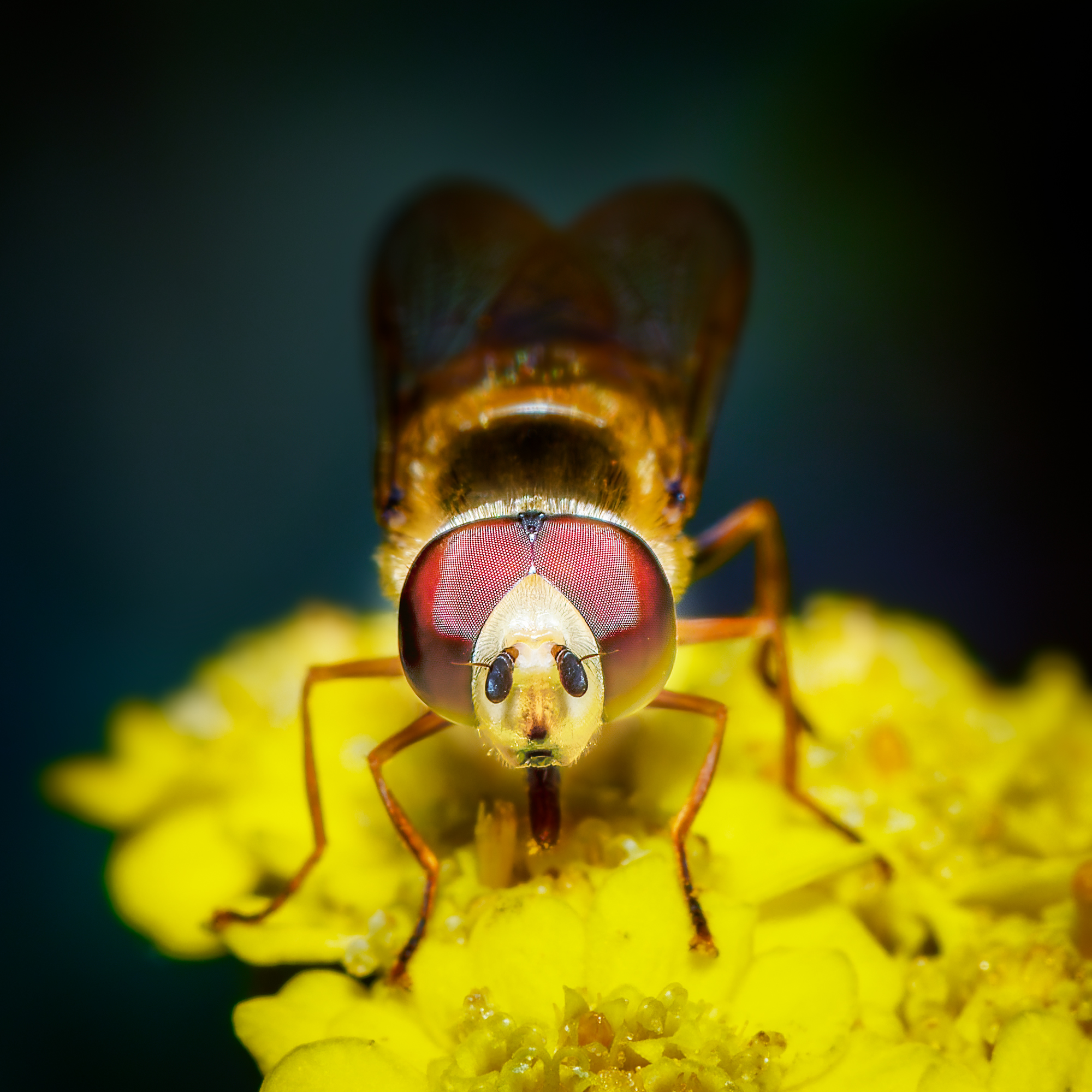  KS22811 DxO Enhanced 1