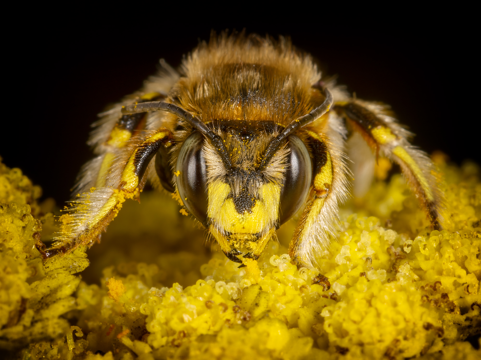  KS22966 DxO Enhanced 1