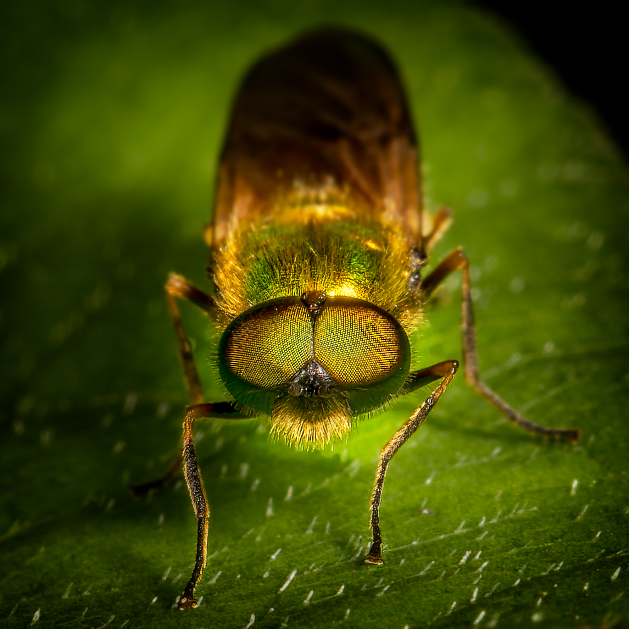  KS23726 DxO Enhanced 1