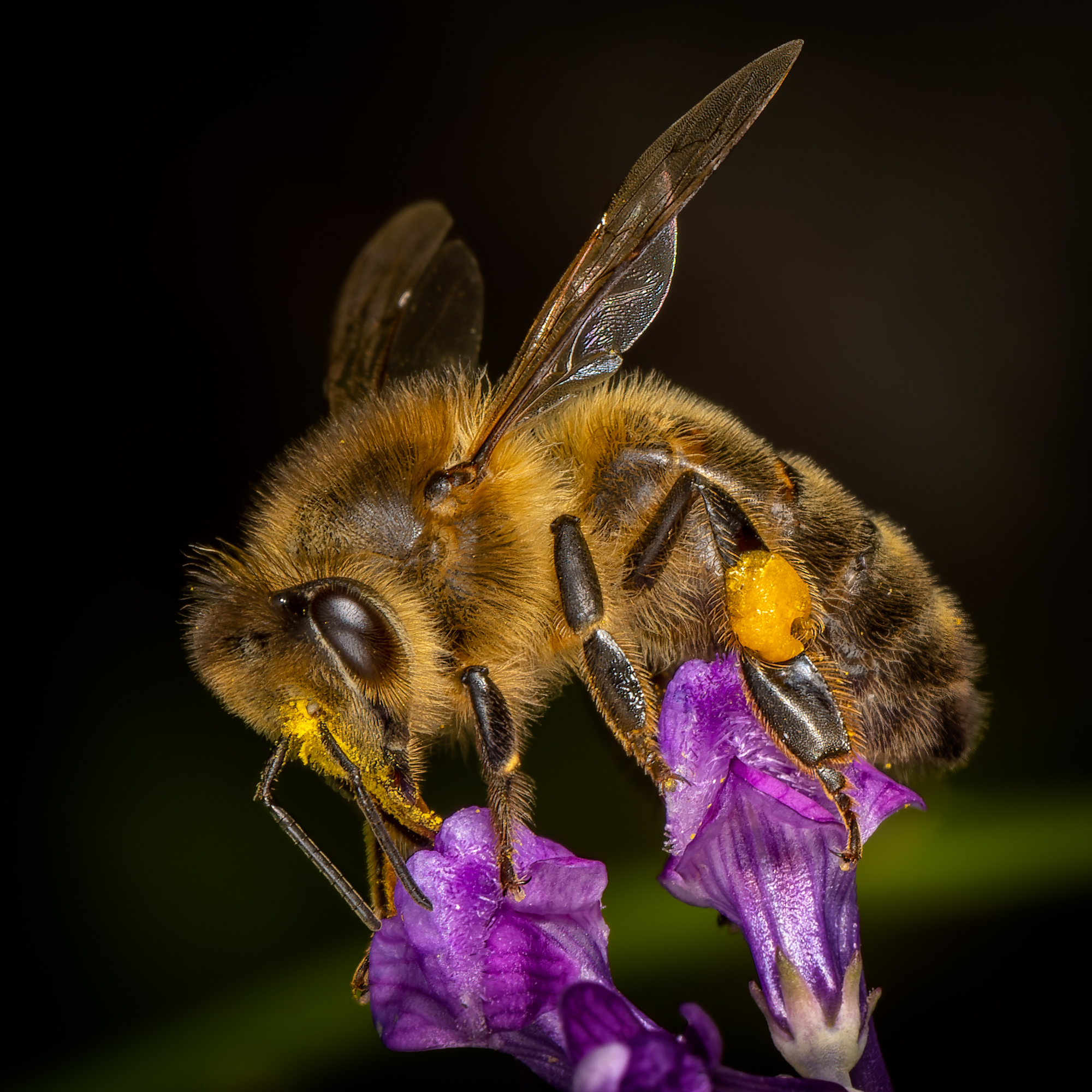  KS23992 DxO Enhanced 1