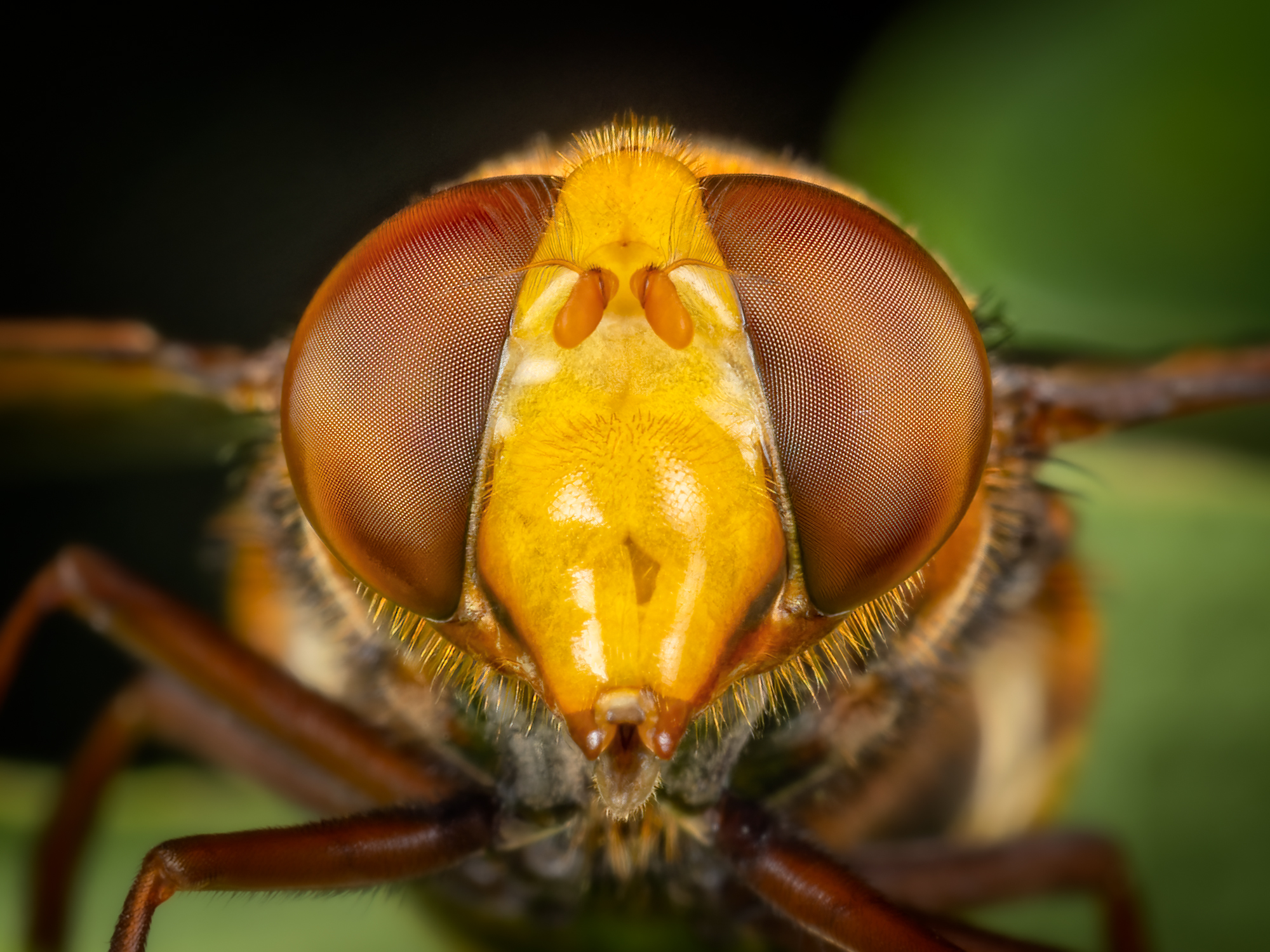  KS24808 DxO Enhanced 1