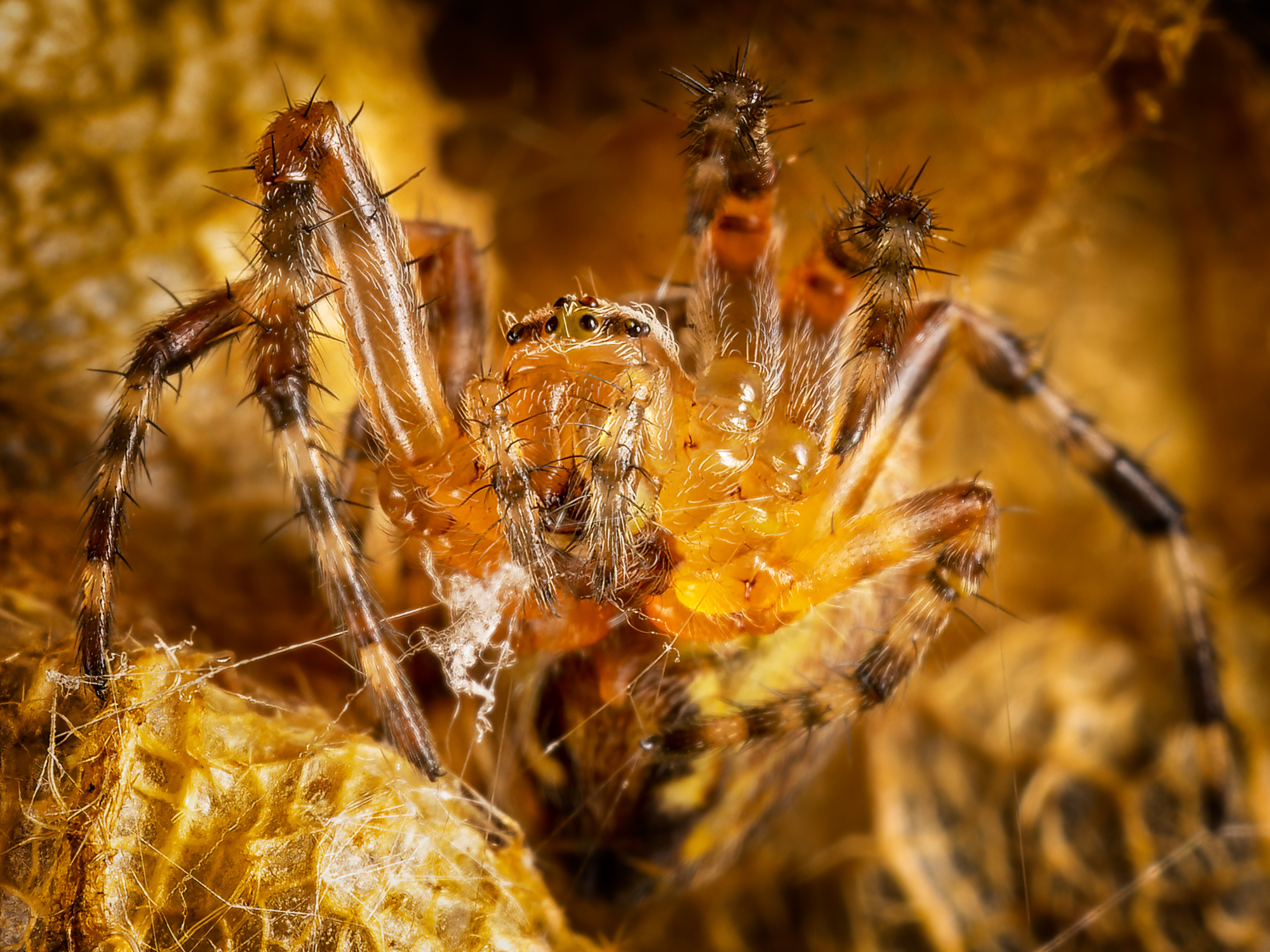  KS24863 DxO Enhanced 1 1