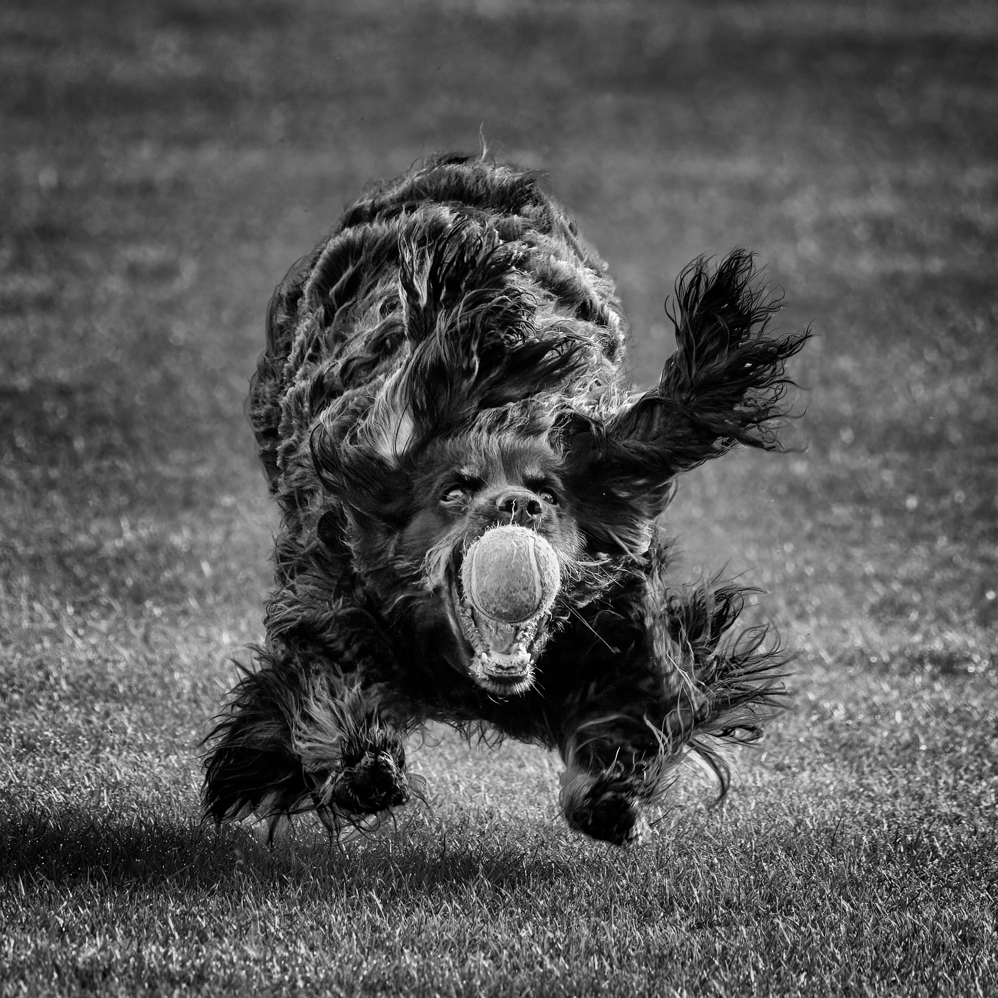  KS25479 DxO Enhanced 1 1