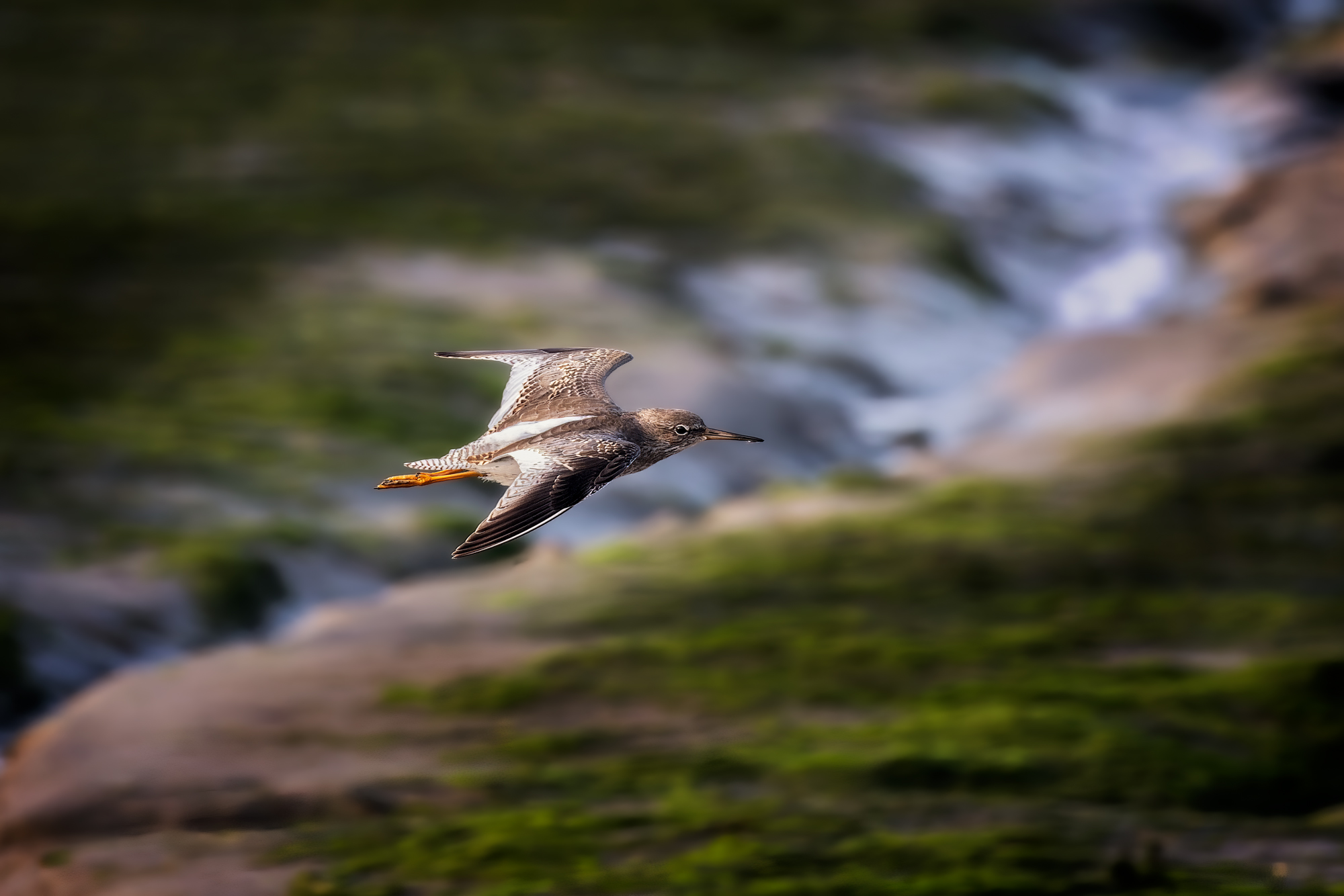  KS26286 DxO Enhanced 1