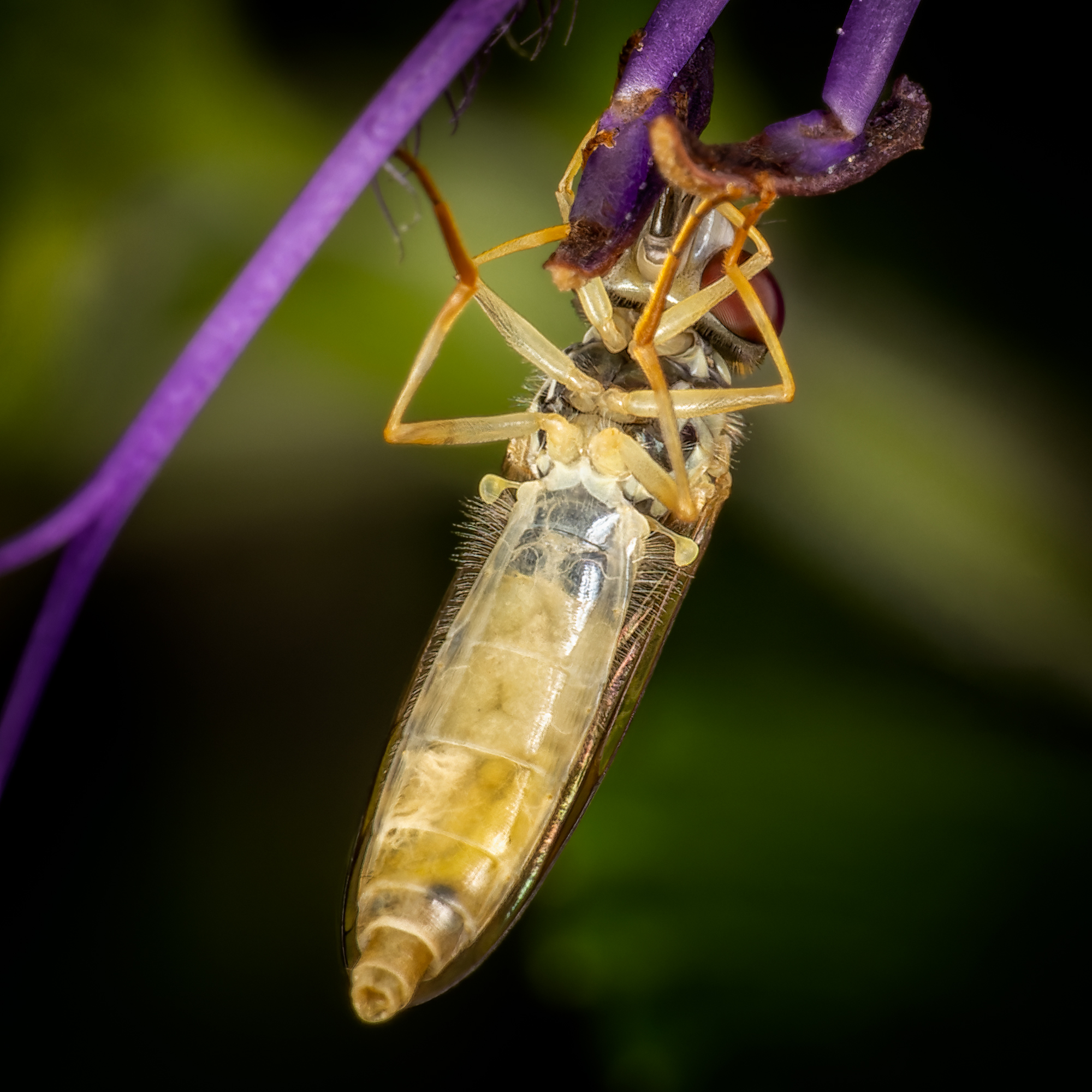  KS26485 DxO Enhanced 1